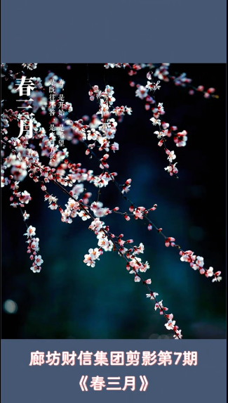 財(cái)信集團(tuán)剪影丨&ldquo;春三月&rdquo;