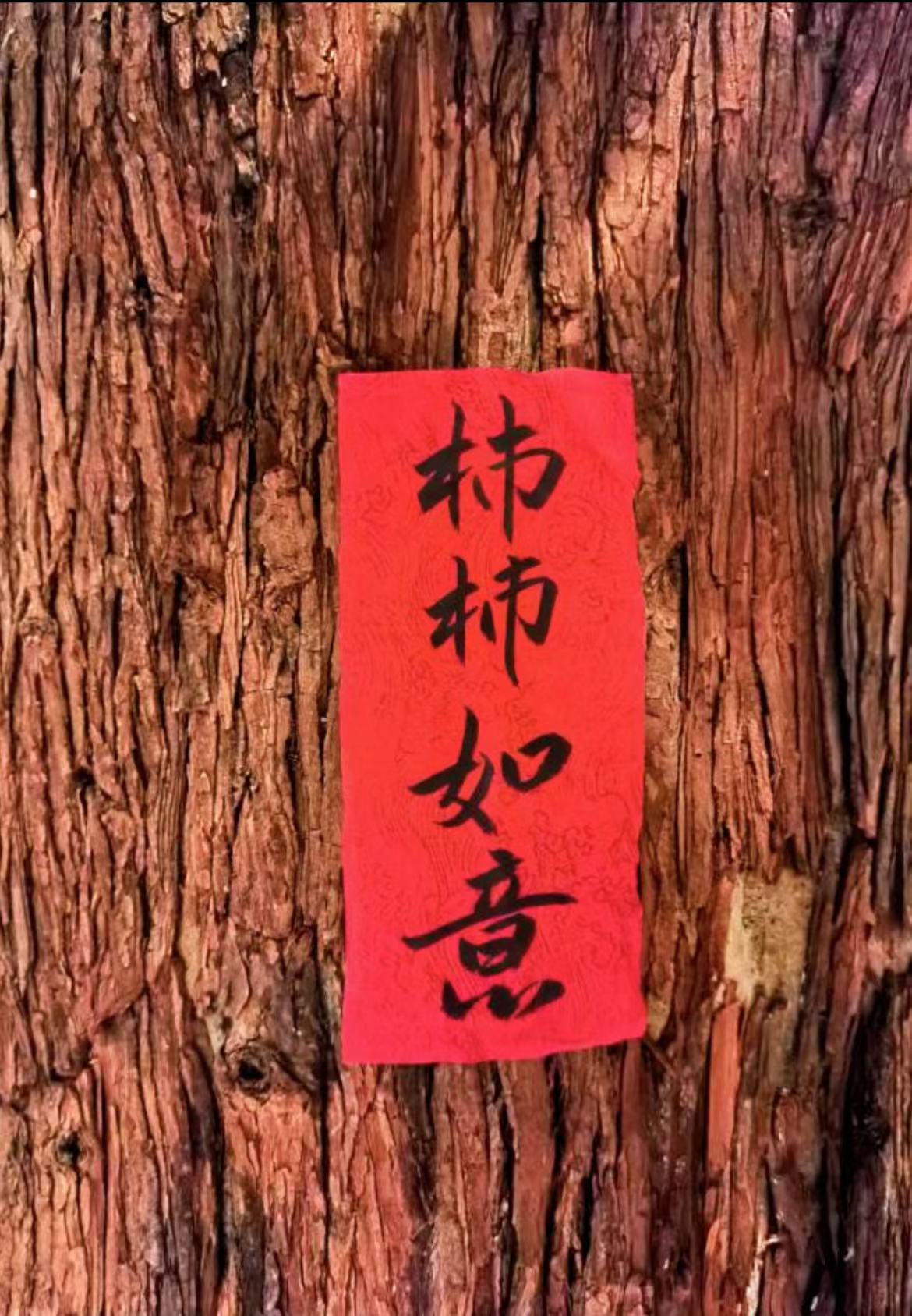 財(cái)信集團(tuán)剪影丨&ldquo;谷雨&rdquo;