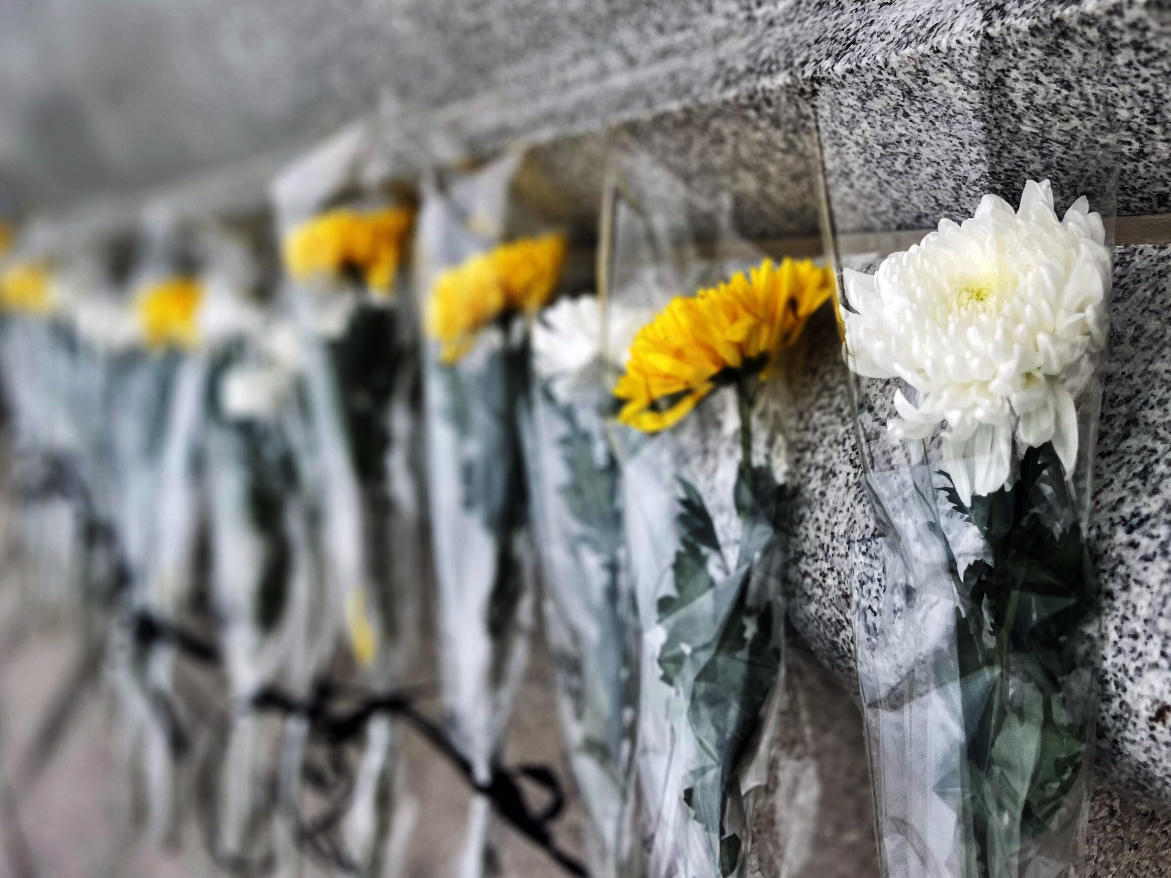 &ldquo;承英烈精神&middot;踐國企擔當&rdquo;暨徒步健身活動攝影比賽優(yōu)秀作品展示